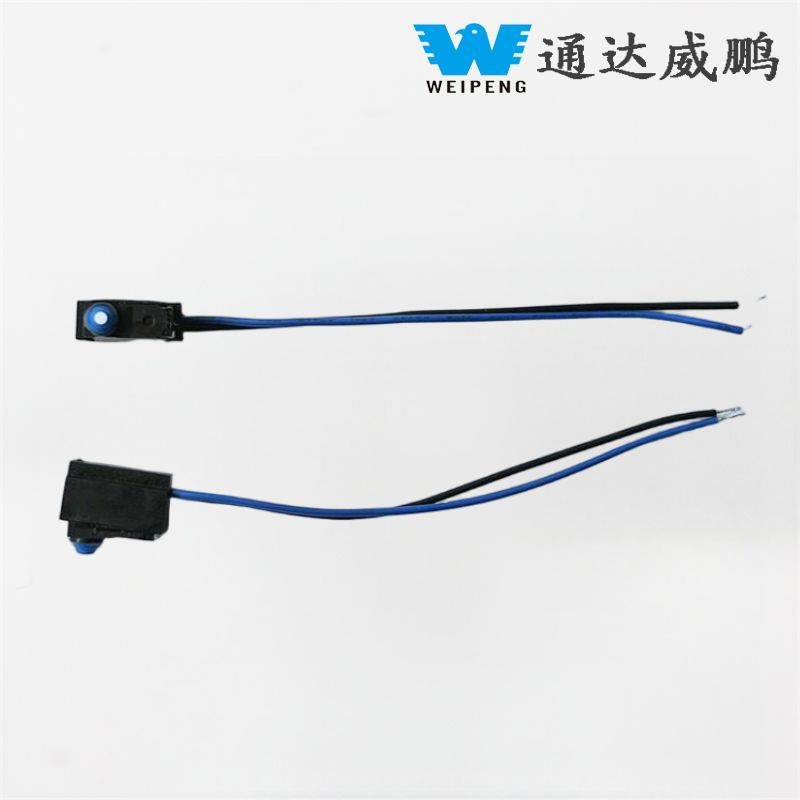 సీల్డ్ IP67 వాటర్‌ప్రూఫ్ మైక్రో స్విచ్