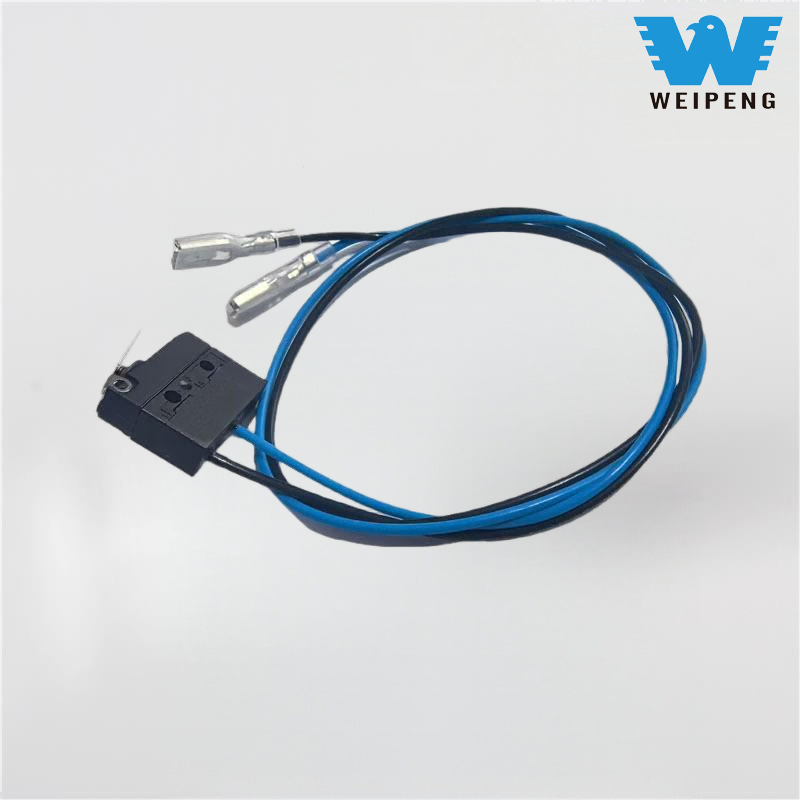 వాటర్‌ప్రూఫ్ డస్ట్ ప్రూఫ్ హై-టెంపరేచర్ రెసిస్టెంట్ IP67 మైక్రో స్విచ్